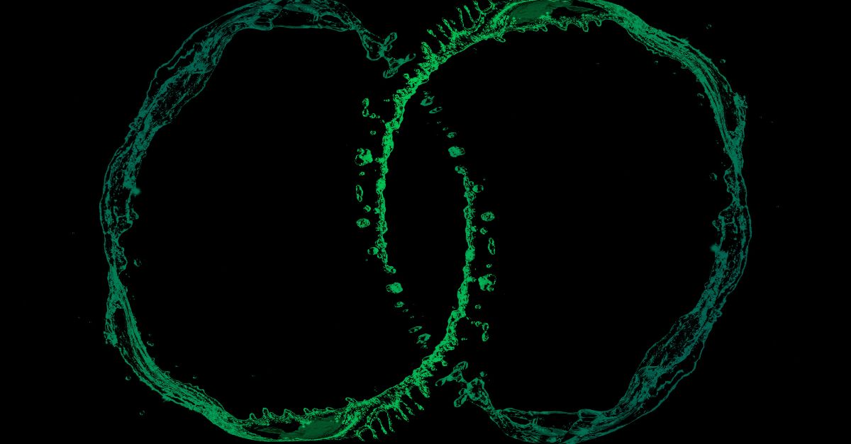 Mastering Integrated Communication: Enhancing Email and SMS Strategies